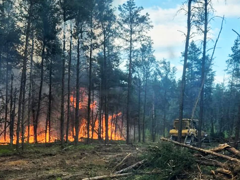 "Rising from the Ashes" free outdoor show supports residents recovering from 2025 wildfire season