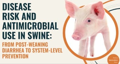 Swine webinar to explore disease prevention strategies