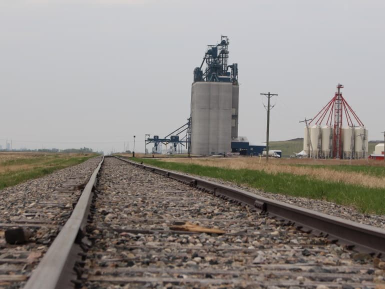Delayed seeding drives record CN grain shipments